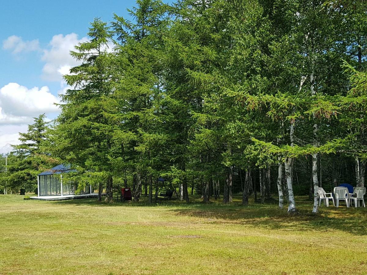 Jacques Cartier Motel Сідней Екстер'єр фото